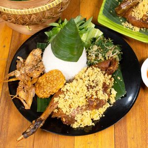 Nasi Gembira Bebek Setengah Ekor - Bebek Gembira